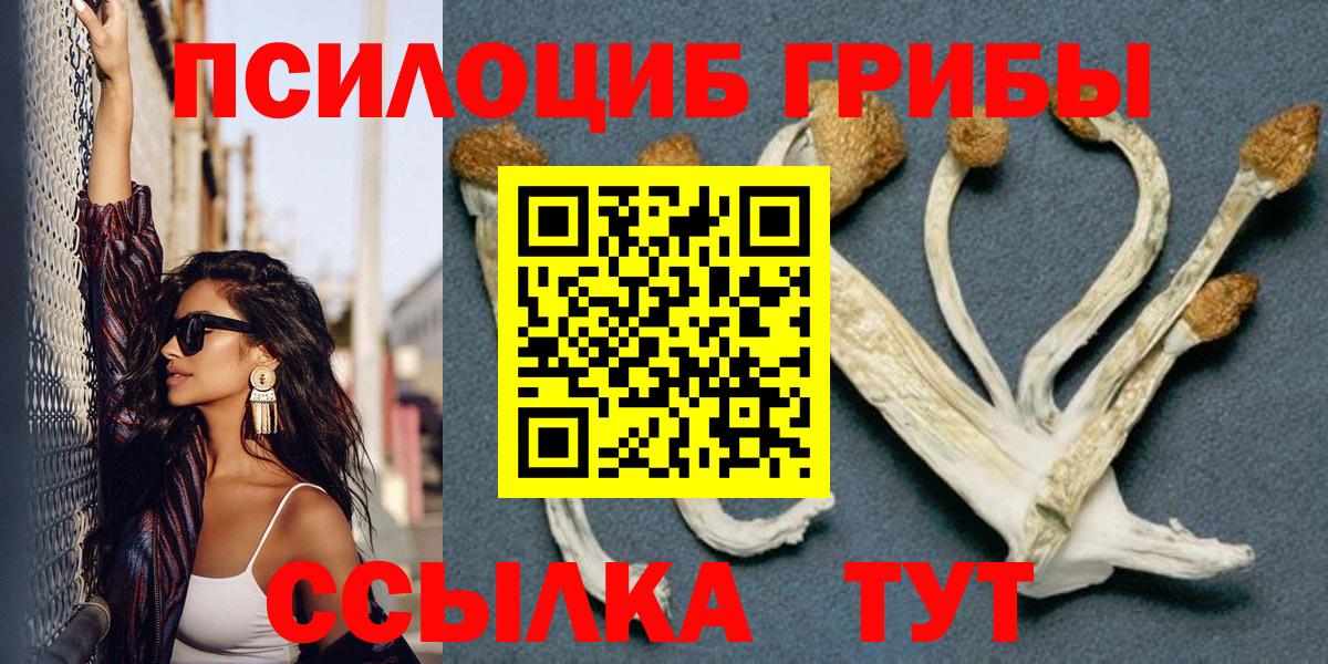 Владикавказ  Псилоцибиновые грибы Magic Shrooms  Вход с VPN 